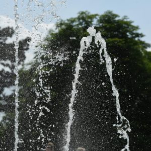 DSC_7820