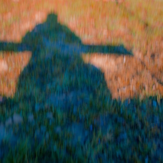 DSC_9990s